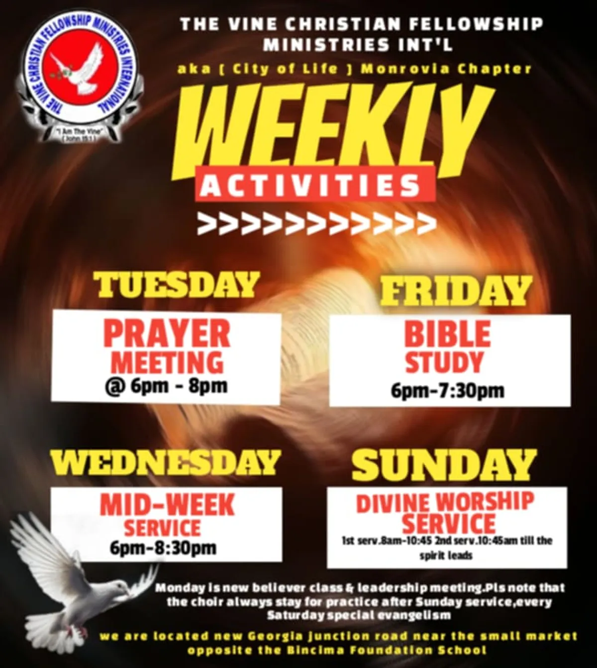 woman wearing black crew-neck shirt